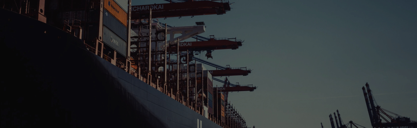 Sanfer | Salud Animal | Imagen principal