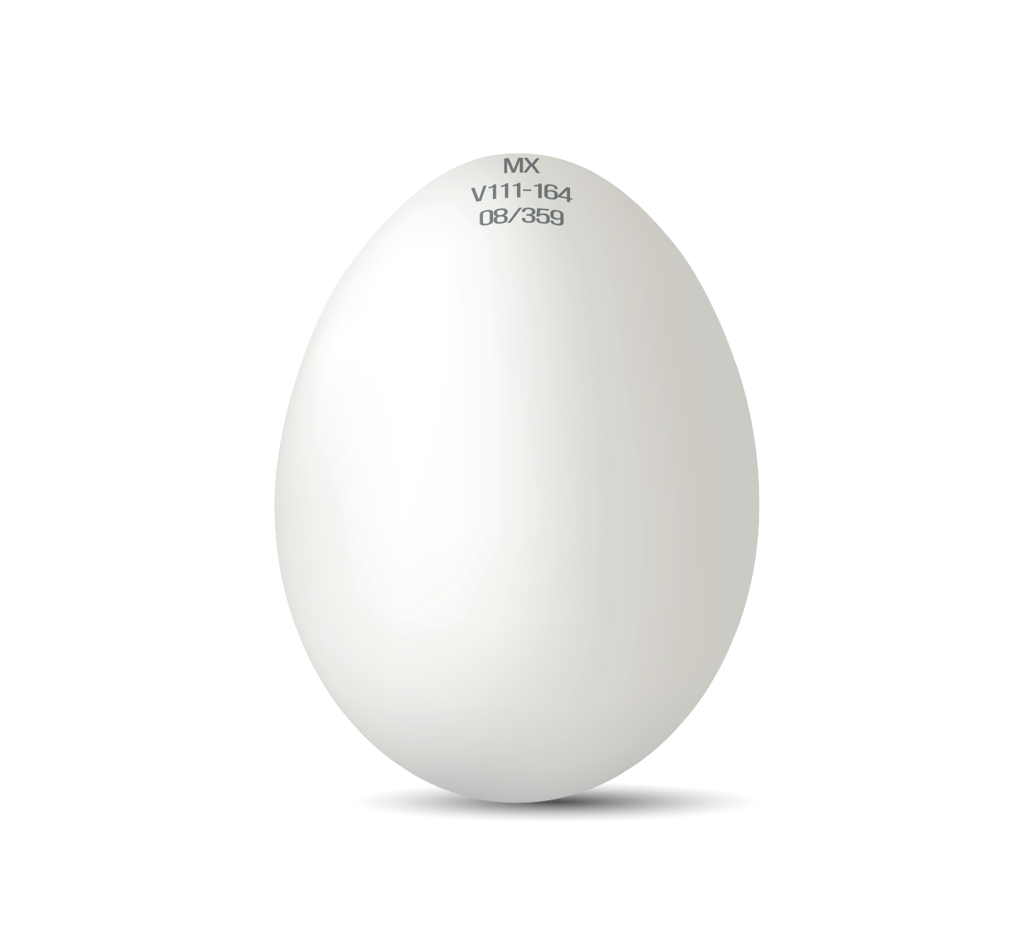 HUEVO FÉRTIL Y EMBRIÓN SPF