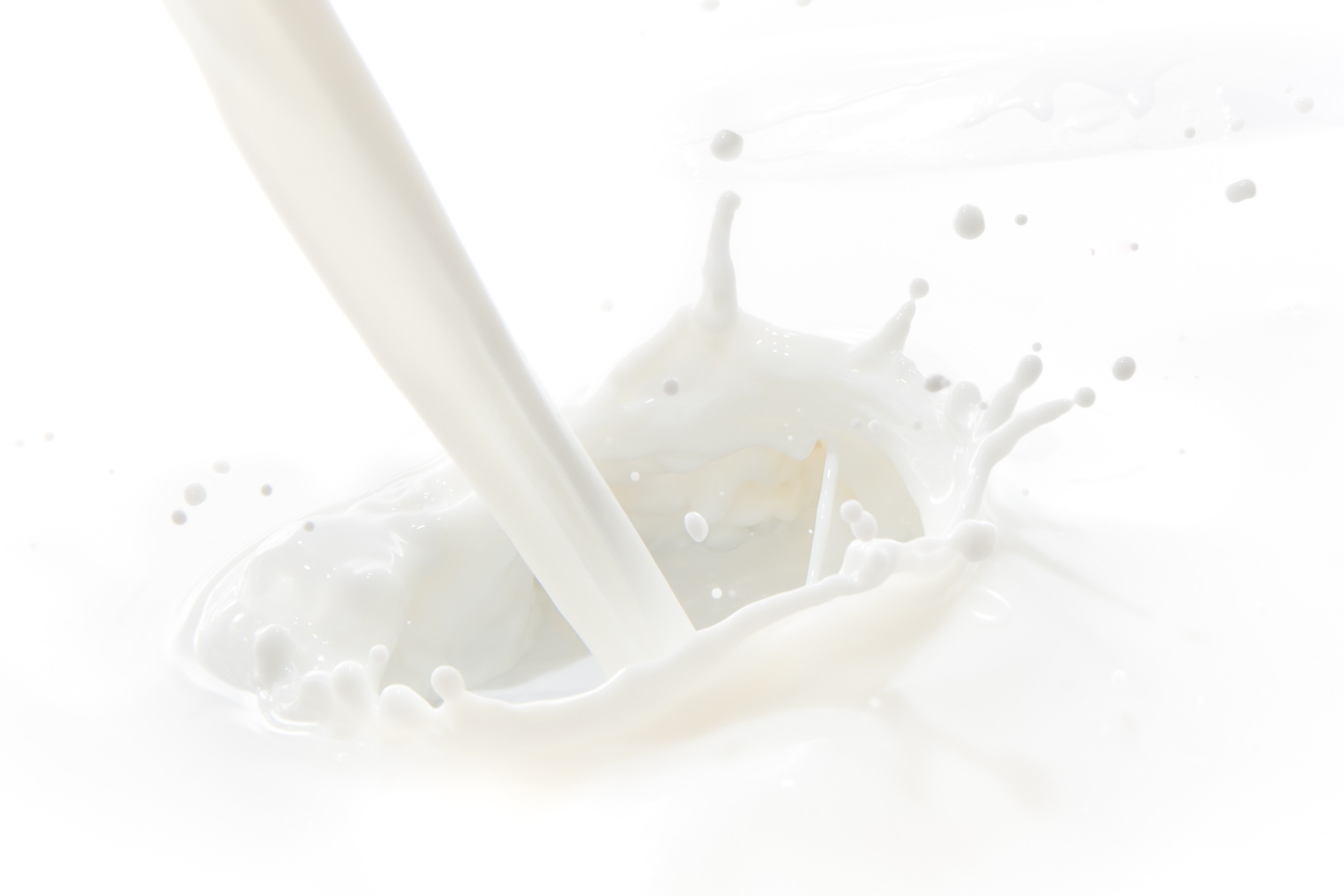 Si te lo perdiste...Simposio Internacional en Calidad de Leche