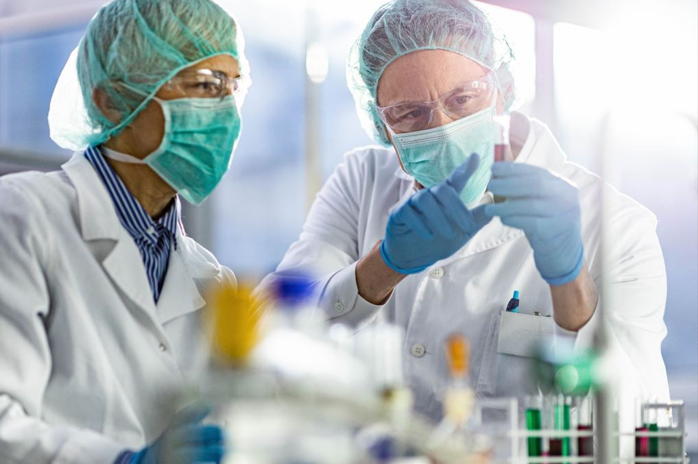 Perfil de ácidos grasos, unas de las principales fuentes de energía.