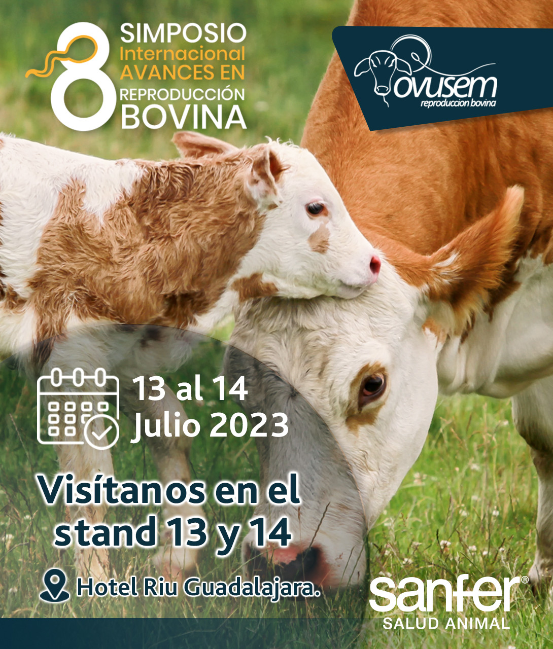 OVUSEM  - 8 Simposio Internacional Avances en Reproducción Bovina