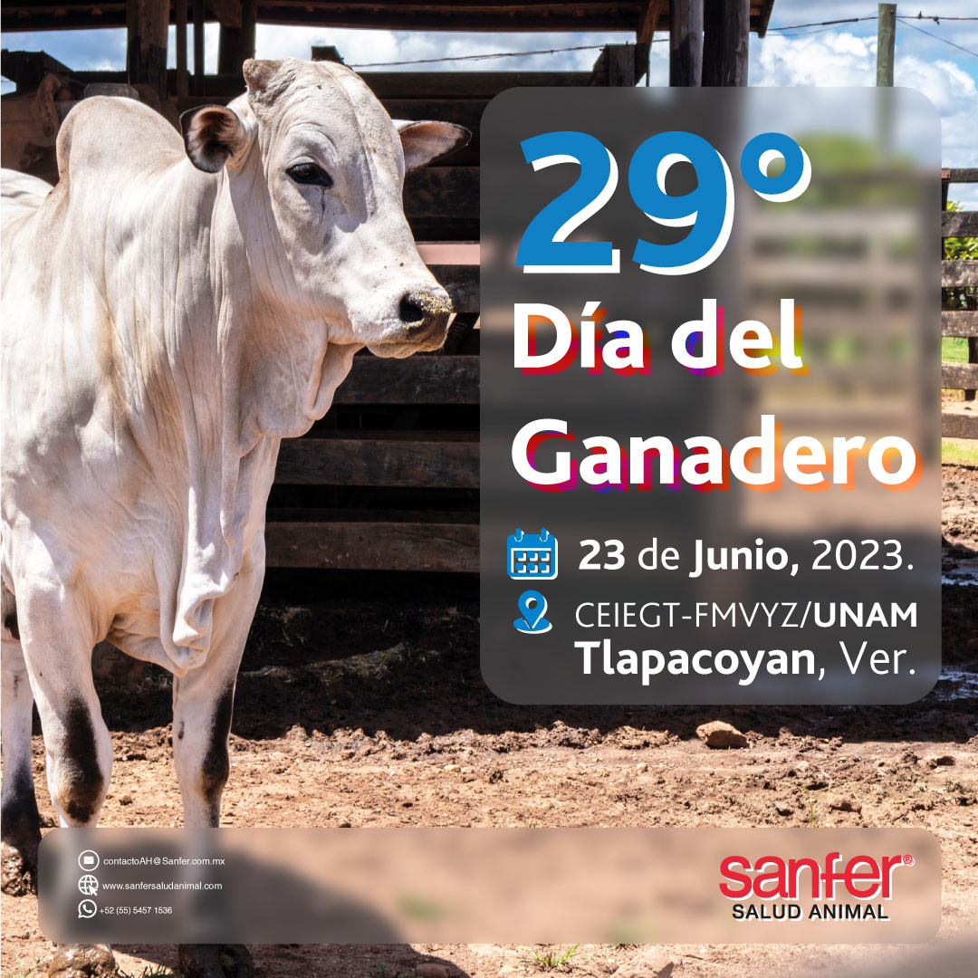 29 Día del Ganadero