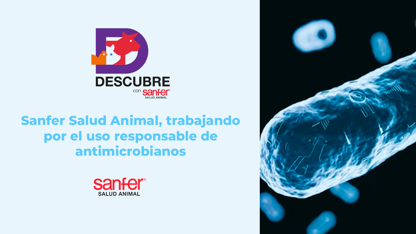 Sanfer Salud Animal, trabajando por el uso responsable de antimicrobianos