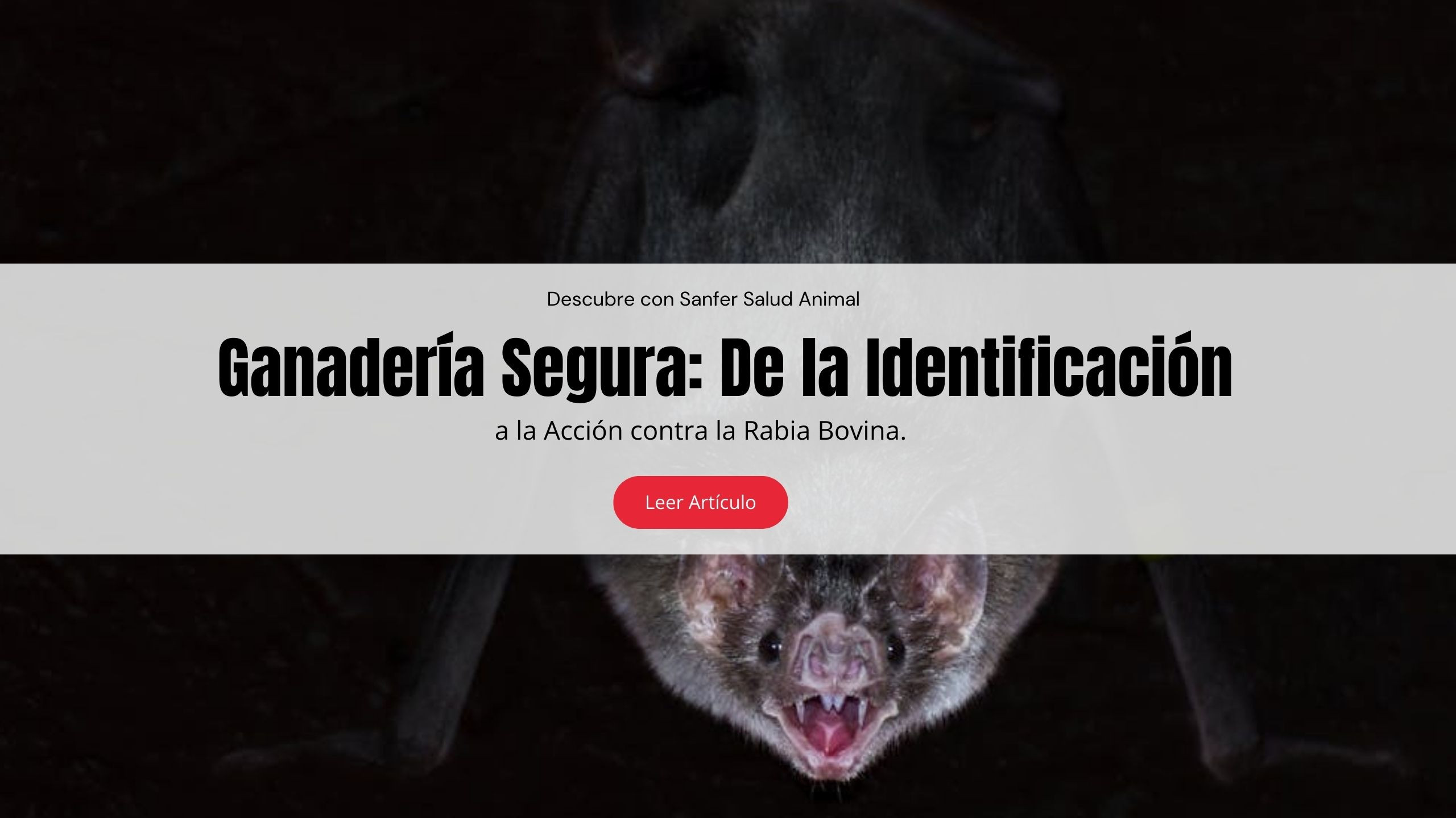 Ganadería Segura: De la Identificación a la Acción contra la Rabia Bovina.