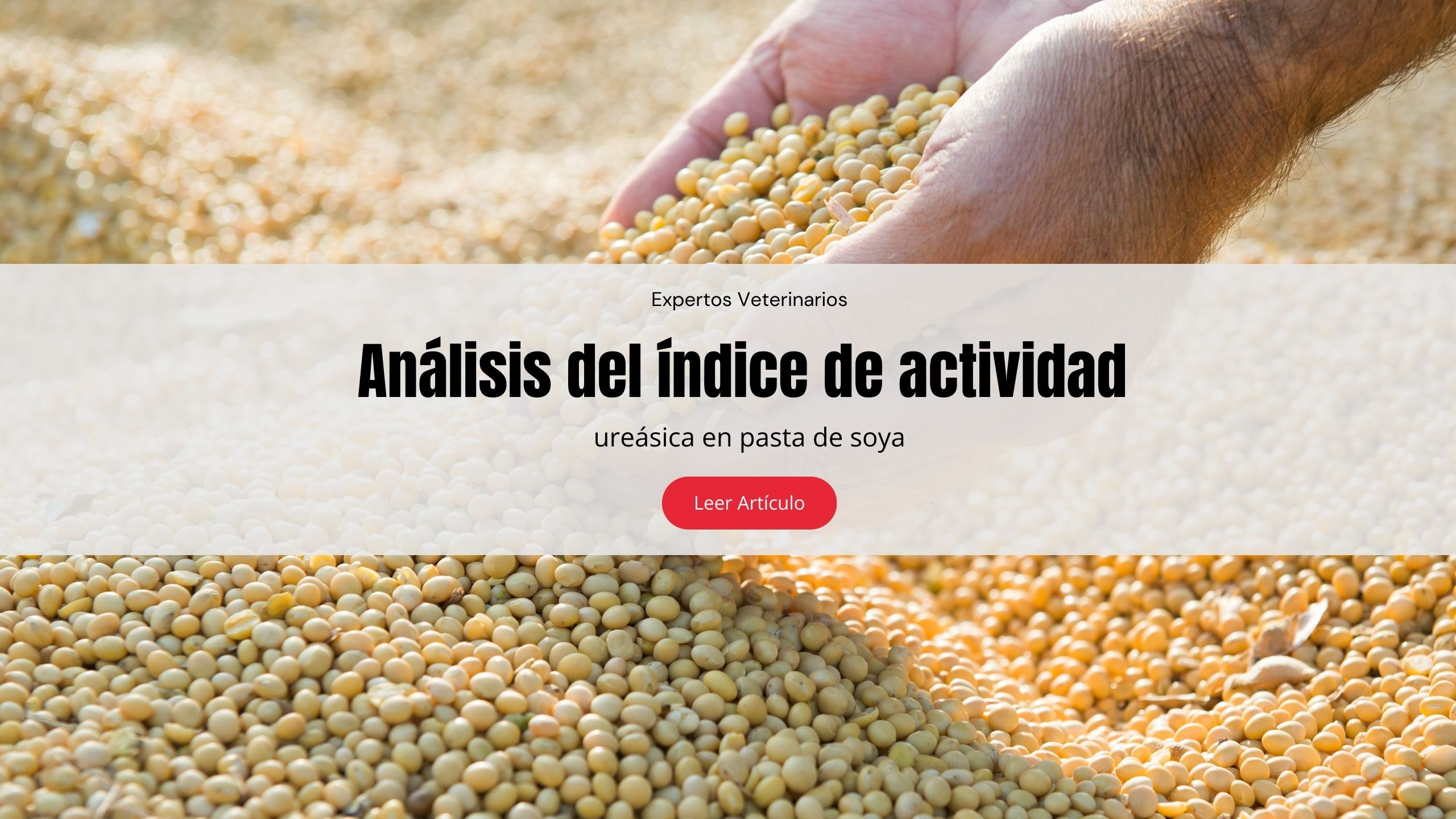 Análisis del índice de actividad ureásica en pasta de soya