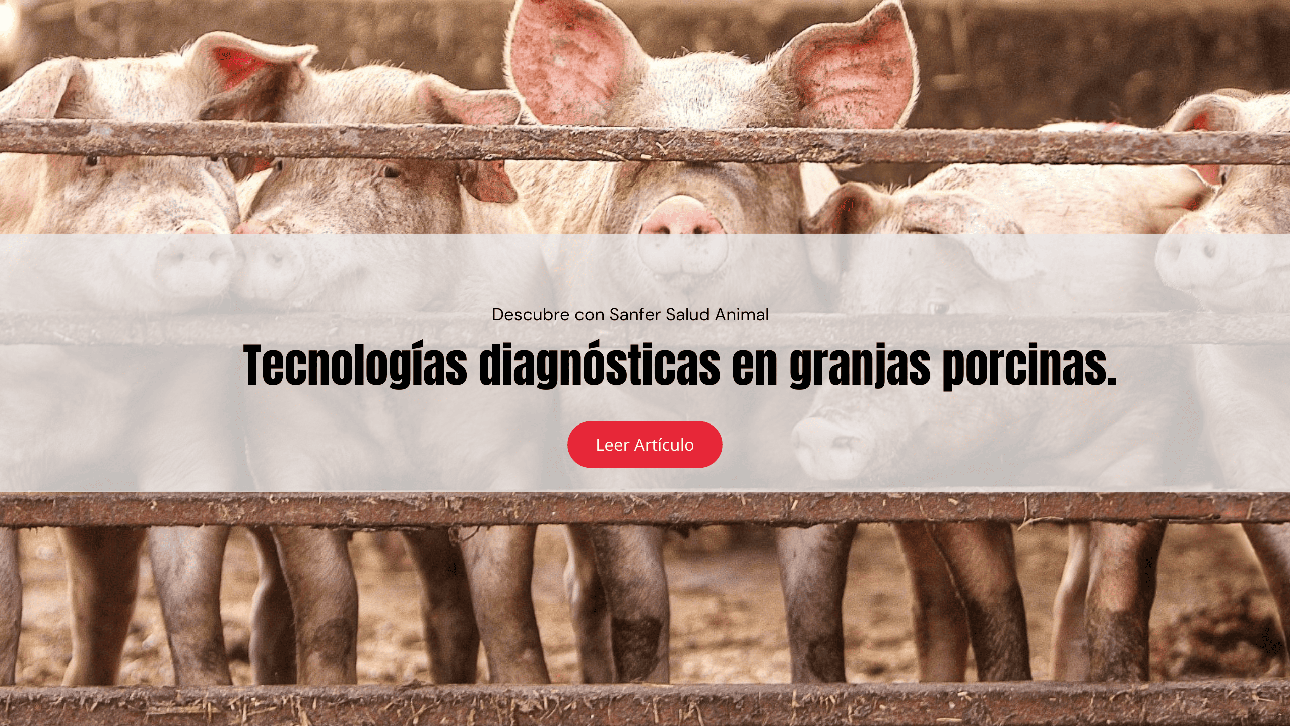 Tecnologías diagnósticas en granjas porcinas.