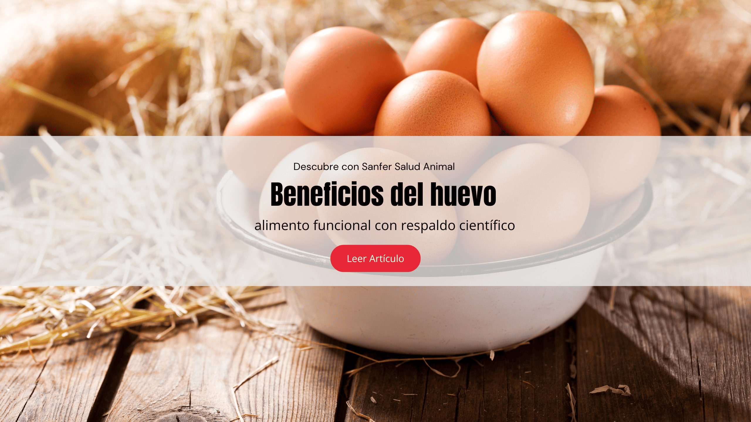 Beneficios del huevo: alimento funcional con respaldo científico