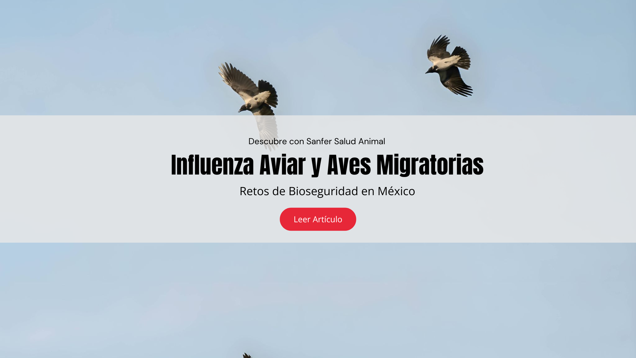 Influenza Aviar y Aves Migratorias: Retos de Bioseguridad en México