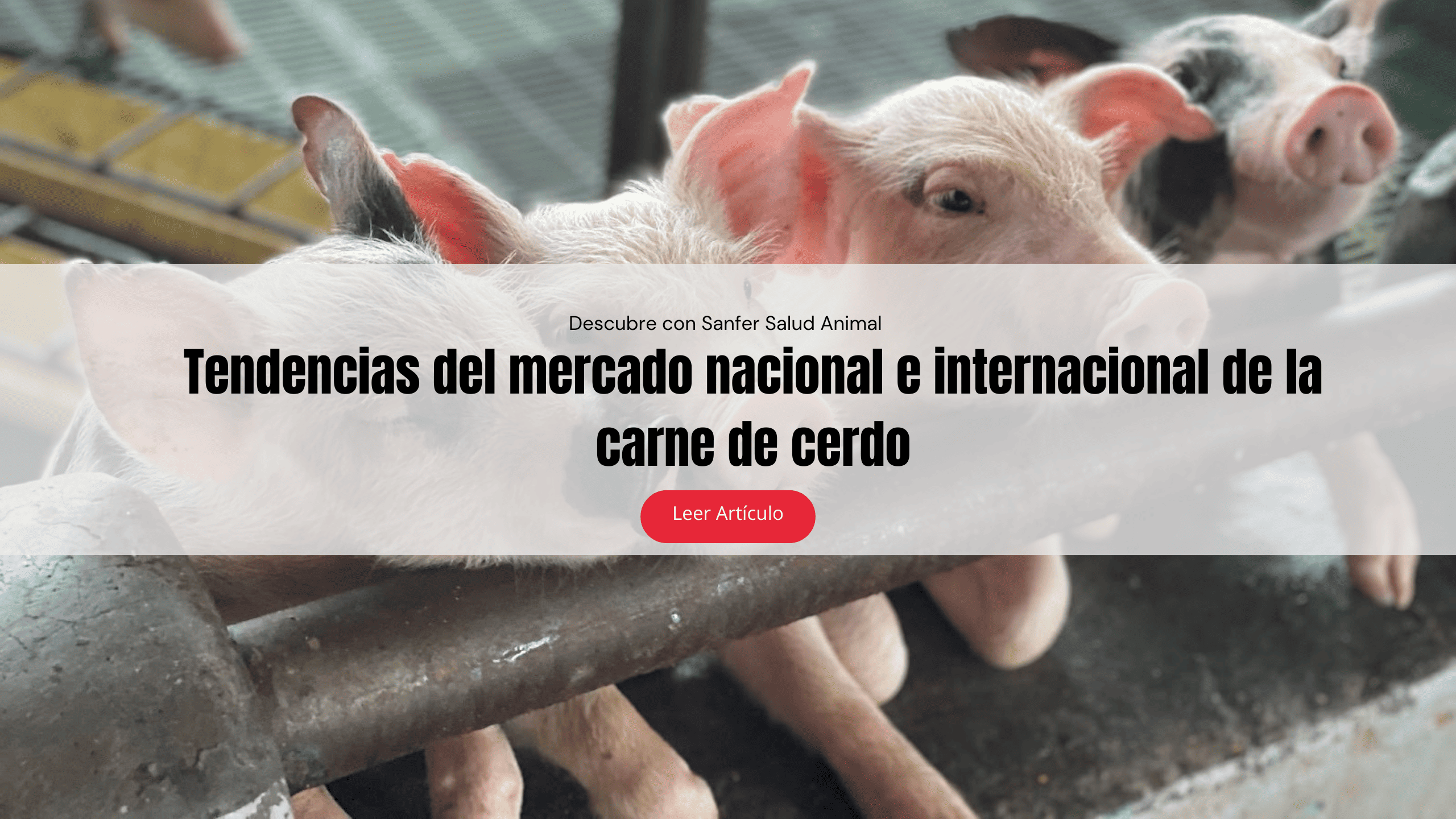 Tendencias del mercado nacional e internacional de la carne de cerdo
