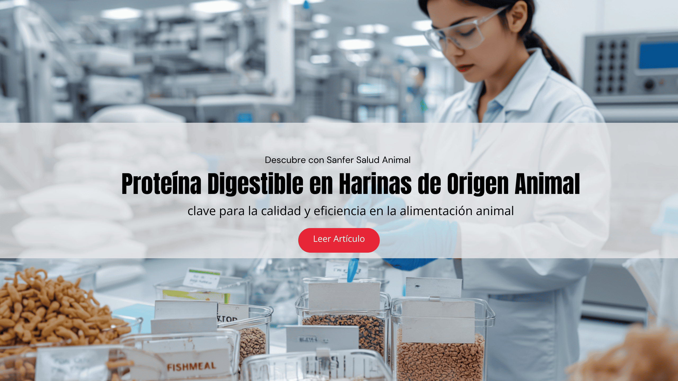 Proteína Digestible en Harinas de Origen Animal: clave para la calidad y eficiencia en la alimentación animal