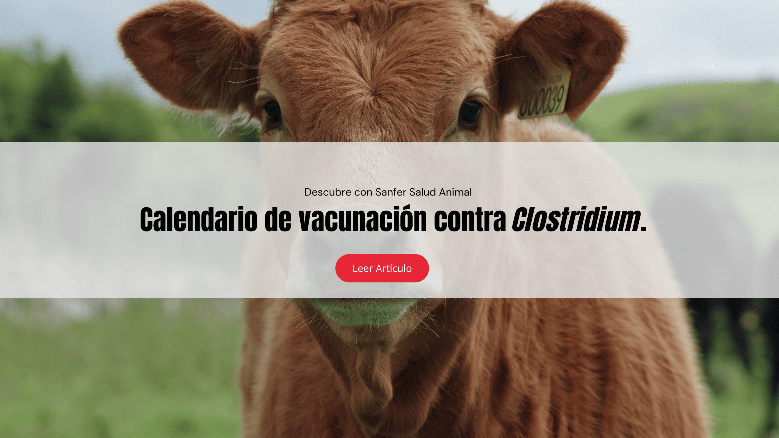 Calendario de vacunación contra Clostridium