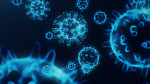 Webinar: Influenza, una mirada al interior del virus