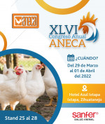 XLVI Congreso ANECA