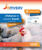 AMVEAV