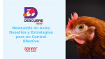 Newcastle en Aves: Desafíos y Estrategias para un Control Efectivo